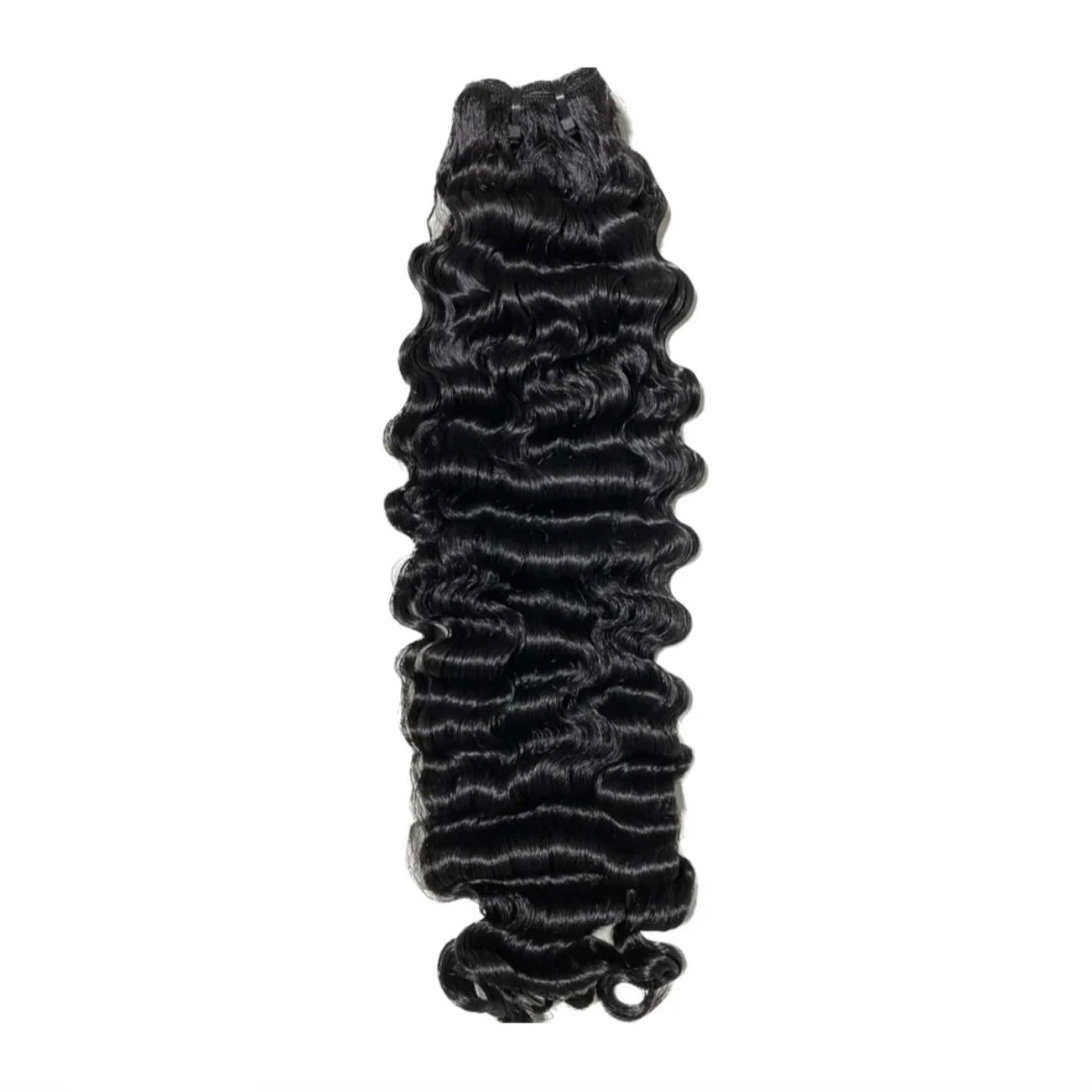 SG Burmese Curly
